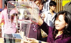 Tháng cô hồn: 