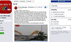 Đà Nẵng: Truy tìm người giả mạo Facebook VTV8 đăng tin thất thiệt