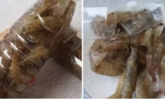 Đừng bảo quản trực tiếp trong tủ lạnh, đây mới là cách để tôm tươi được cả năm