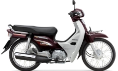 Dòng xe dream 110i 2012 phun xăng điện tử đầu tiên ở Việt Nam