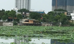 Vụ loạt biệt thự “mọc” xây trái phép ở Tây Hồ: Tháng 8 có kết quả thanh tra