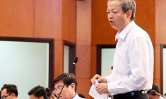 Phó chủ tịch TP.HCM: 