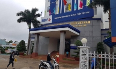 Vụ vỡ nợ hàng trăm tỷ ở Gia Lai: Sự thật về nguồn gốc số tiền hơn 100 tỷ một kế toán ngân hàng mang cho vay