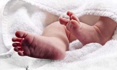 Sự thật chấn động trong chiếc túi mà người đàn bà 