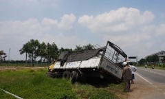 Bị ong vò vẽ đốt, tài xế xe tải mất bình tĩnh lao xuống mương