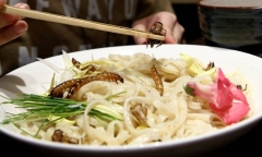 Xếp hàng để được ăn món… mỳ trộn côn trùng