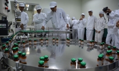  Tín hiệu vui khi vắc xin phòng dịch tả lợn châu Phi bước đầu thành công trong phòng thí nghiệm
