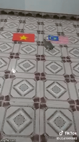 Video: Chuyển hướng đoán Việt Nam thắng Malaysia, ba ba