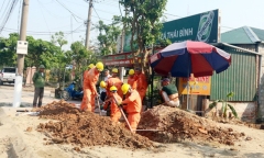 Truy tìm người đàn ông đào hồ trồng cây gây mất điện diện rộng