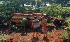 Lật xe công nông chở gỗ trong đêm, 3 người thương vong