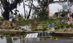 Chùm ảnh TP Quy Nhơn, Nha Trang tan hoang do bão số 12
