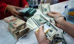 Tỷ giá USD hôm nay 14/2: Đồng USD tăng mạnh