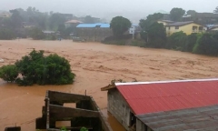 Lở đất nghiêm trọng ở Sierra Leone, hơn 200 người thiệt mạng