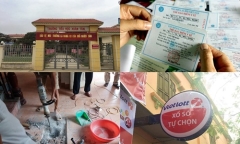 Tin tức thời sự 24h mới nhất ngày 6/12