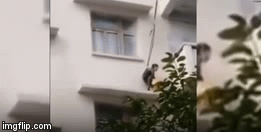 Video: Phát hoảng cảnh ông bà dùng dây thả cháu xuống ban công tầng 5 để cứu mèo