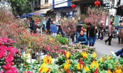 Chợ hoa Tết và thú chơi hoa