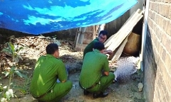 Một phụ nữ quyên sinh trong vườn nhà