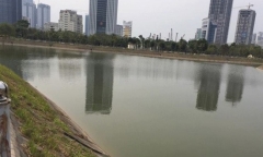 Thả cá tiễn ông Công ông Táo, người phụ nữ rơi xuống hồ, tử vong