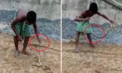 Video: Cái kết không thể nào nhịn cười cho cậu bé thích trêu rắn