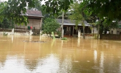 60.000 học sinh Hà Tĩnh không thể đến trường vì mưa lũ cô lập