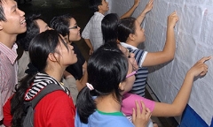Điểm thi đại học 2014 và xu hướng chọn nghề