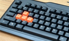 Mẹo tiết kiệm tiền điện tủ lạnh chỉ nhờ một bát nước, cách làm lại vô cùng đơn giản