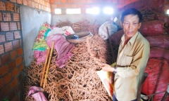 Cư dân chung cư cao cấp đội nắng 40 độ đòi quyền lợi