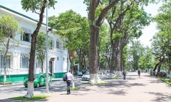 Dự báo thời tiết ngày 2/4: Đầu tuần, miền Bắc nắng nóng 31 độ C