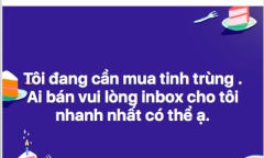Góc khuất “chợ” mua bán “con giống” trên mạng: “Cò mồi” đẩy đưa dụ phóng viên vào “tròng”
