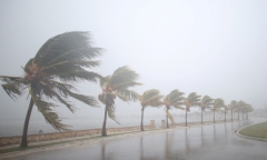 Siêu bão Irma đổ bộ, Mỹ kêu gọi gần 6 triệu người sơ tán