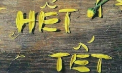 Hết Tết phải đi làm,