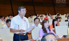 Đại biểu Quốc hội: Nói xây biệt phủ nhờ bán chổi đót, nuôi heo là coi thường dân