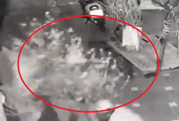 Video: Gia chủ khóc dở mếu dở vì bị “cây tặc” bê mất chậu đào chơi Tết