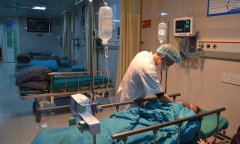 Đang ngủ thì bị kiến cắn, thiếu nữ 14 tuổi sốc phản vệ rồi bất tỉnh