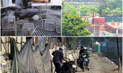 Phần 3: Chuột “đại náo” chung cư, bàn giao nhà nhưng chưa… có đường