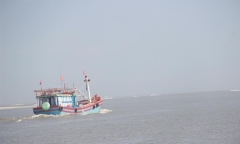 6 ngư dân Bình Định mất liên lạc, 10 ngày chưa có tin tức
