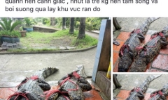 Tin tức thời sự 24h mới nhất ngày 25/8