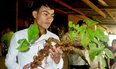 Hành trình đổi mạng sống lấy 