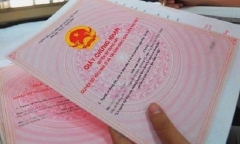 Đình chỉ công tác Giám đốc văn phòng Đăng ký đất đai quận Sơn Trà, Đà Nẵng