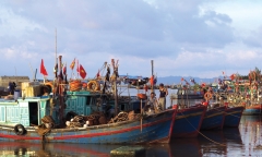 Giải cứu 12 lao động bị 