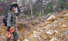 Săn loài ong “đốt thần ngã ngửa”, nghề trêu ngươi “thần chết”