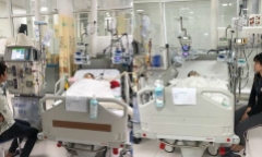 Vụ cả nhà bị ong đốt khiến 2 người chết: Ám ảnh cảnh đàn ong vò vẽ bâu kín