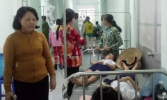 Dấu hiệu gian dối trong vụ gần 400 học sinh tiểu học nhập viện sau khi uống sữa miễn phí