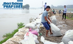Hà Nội: Hơn 6.000 người dân Chương Mỹ sơ tán do ngập lụt