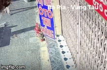 Video: Ngang nhiên “thó” chậu hoa trước cửa nhà dân mặc người đi lại xung quanh
