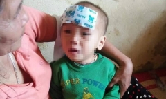 Bé gái 15 tháng tuổi bị bỏ rơi ở bụi tre ven quốc lộ