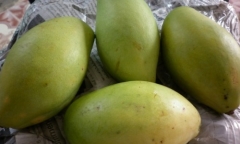 Cách làm xoài lắc xí muội ngon khó cưỡng