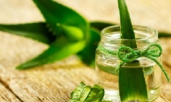 Những tác hại không ngờ của nha đam nếu sử dụng không đúng cách
