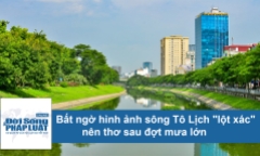Video: Bất ngờ sông Tô Lịch 