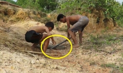 Video: Thót tim với 2 cậu bé tay không bắt trăn